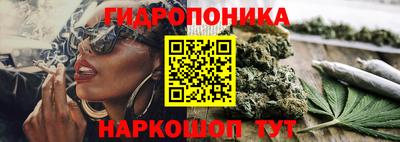 mdma Кандалакша